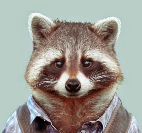 La Mano Derecha del Candidato