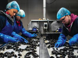 Pandemia provoca descenso de los salarios a nivel global