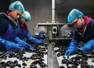 Pandemia provoca descenso de los salarios a nivel global