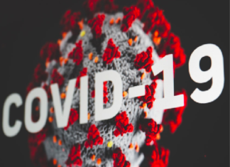 2020, el año de la fragilidad humana