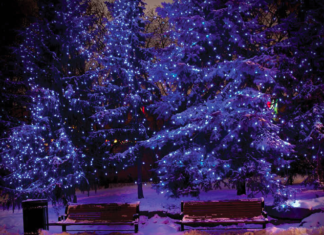Canadá encendió luces de esperanza