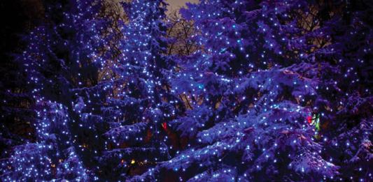 Canadá encendió luces de esperanza