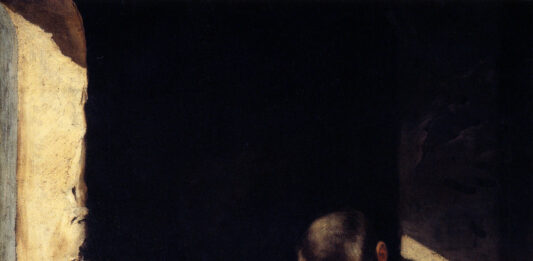 Vida Errante