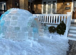 Pese a las bajas temperaturas en Toronto, el arte se impone