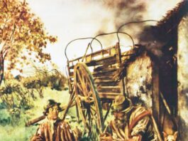 Viaje en carreta