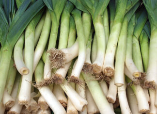 Los dos tallos de cebollín