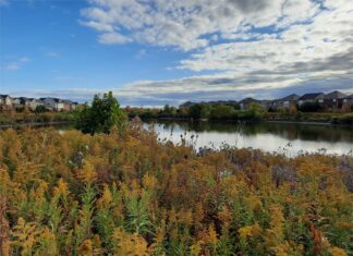 Desde nuestras actividades cotidianas podemos contribuir a preservar la biodiversidad