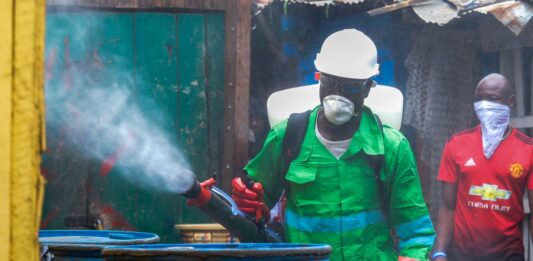 Cultura, vida, esperanza y biodiversidad en la postpandemia