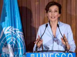 Unesco alerta sobre brecha de género en industrias culturales