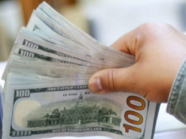 Global economic rebound will increase remittances