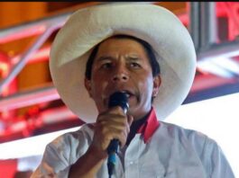 Expectativa en Perú por designación de ministros de presidente electo
