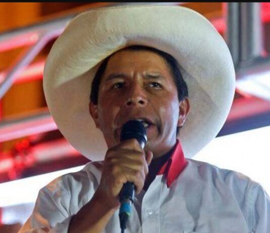 Expectativa en Perú por designación de ministros de presidente electo
