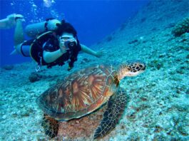 Cuban and Canadian nautical centers promote diving trips