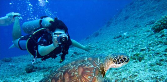 Cuban and Canadian nautical centers promote diving trips