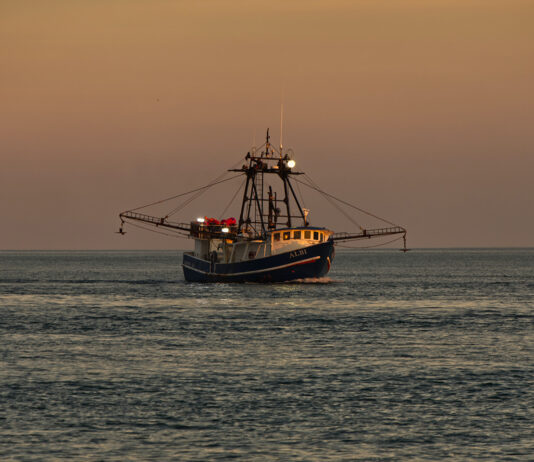 Mexico negotiates embargo on shrimp fishing with US