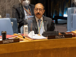 India asume presidencia rotatoria del Consejo de Seguridad de ONU