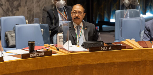 India asume presidencia rotatoria del Consejo de Seguridad de ONU