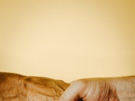 RECONCILIACIÓN ES PENSAR EN EL FUTURO