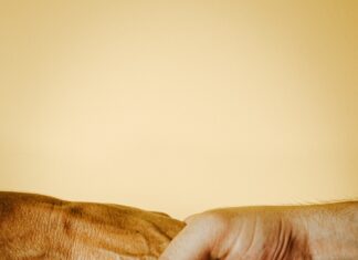 RECONCILIACIÓN ES PENSAR EN EL FUTURO