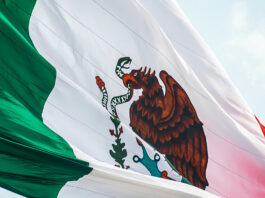 Transición democrática mexicana: ¿qué, cómo, cuándo, dónde y por qué?