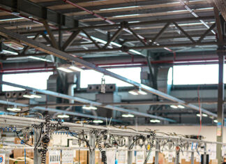 Employment continues to increase thanks to recent immigrants