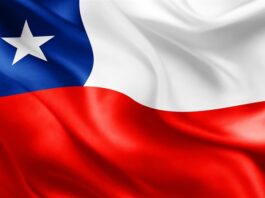 Elecciones Chile 2021. La diáspora chilena puede contribuir al cambio: Patricio Bascuñán