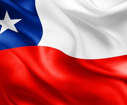 Elecciones Chile 2021. La diáspora chilena puede contribuir al cambio: Patricio Bascuñán