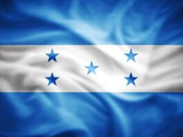 Alianzas opositoras se crean en Honduras