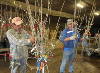 Desprotegidos y explotados: Informe de auditora general confirma crisis de los trabajadores temporales