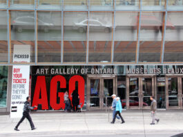 Regresan los programas virtuales de AGO con un toque caribeño especial