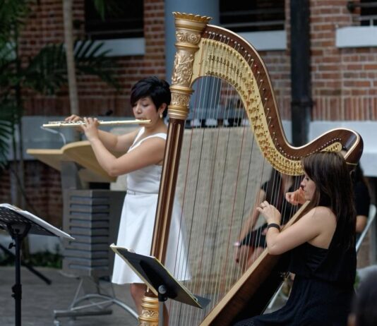 La discriminación a la sombra de la música clásica en Canadá
