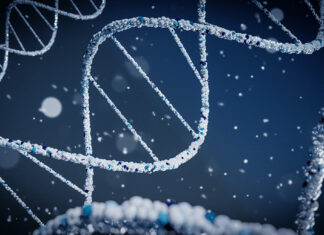 Presentan en Chile plan para buscar víctimas de adopción ilegal