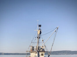 US halts Mexican fishing boats in its waters