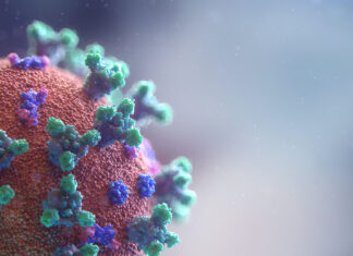 Aprueba Canadá vacuna de Novavax para mayores de 18 años