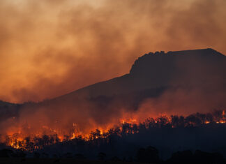 Alerta roja por incendio forestal en región chilena de Valparaíso