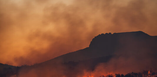 Alerta roja por incendio forestal en región chilena de Valparaíso