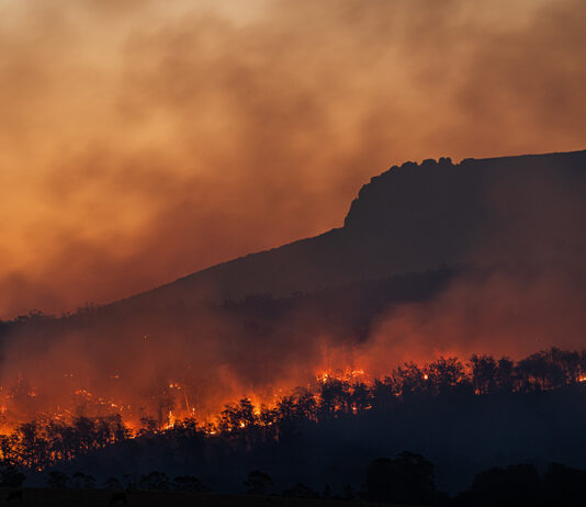 Alerta roja por incendio forestal en región chilena de Valparaíso