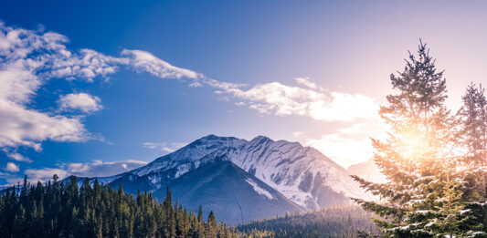 Anuncian Liberales su agenda medioambiental