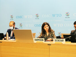 Trade growth could be cut in half this year according to WTO