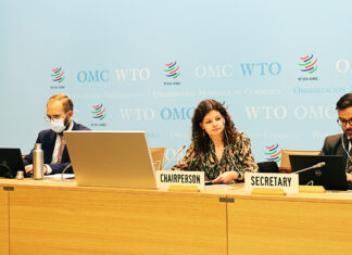 Trade growth could be cut in half this year according to WTO