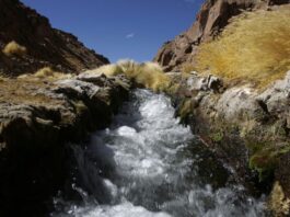 Bolivia destaca en juicio contra Chile calidad de aguas del Silala