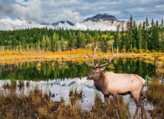 Apoyan organizaciones proyecto de ley respetuoso con el clima