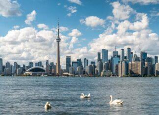 Toronto City Council votes to extend urgent support to Digital Main Street Program through 2023