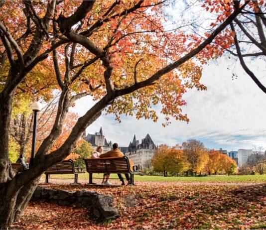 StatCan devela las provincias más felices de la nación