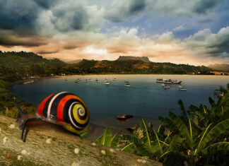 Una ciudad o quizás un paraíso natural: Baracoa