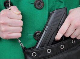 Aprueban en Nueva York proyecto de ley sobre armas