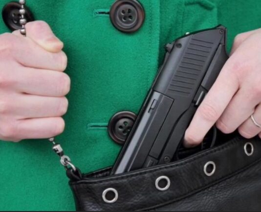Aprueban en Nueva York proyecto de ley sobre armas