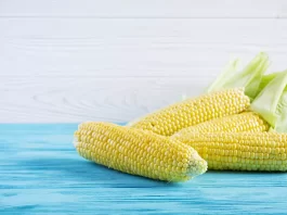 Mexico achieves increase in corn and bean yields