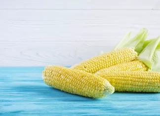 Mexico achieves increase in corn and bean yields