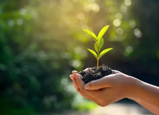 ECLAC calls for a greener, fairer transition in Latin America